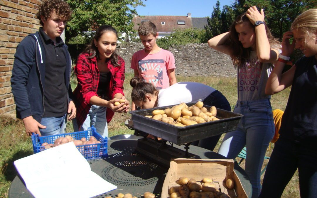 Les activités de l’atelier