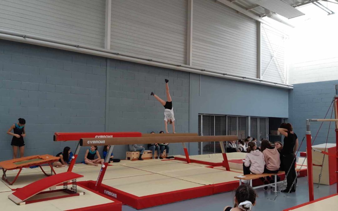 Finale départementale de Gym Acro Aérienne