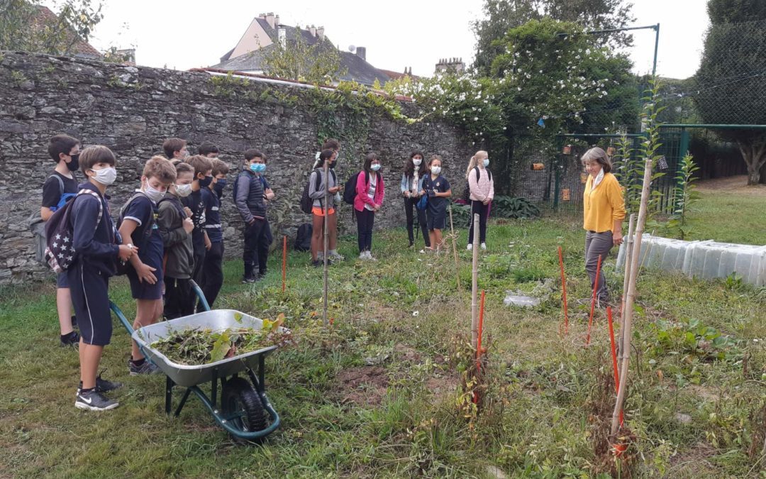 Journée intégration 6ème: sport scolaire et développement durable