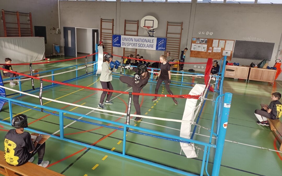 Finale académique de boxe française au collège