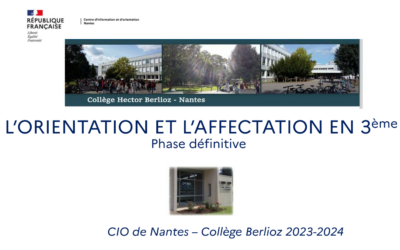 Classe de 3ème (3ème trimestre): Vœux définitifs d’orientation et d’affectation au Lycée